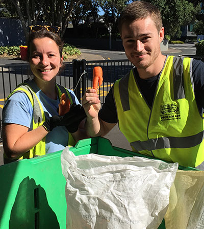 kiwi_harvest_1_400px